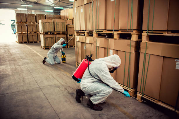 Best Bed Bug Extermination  in Bessemer, AL