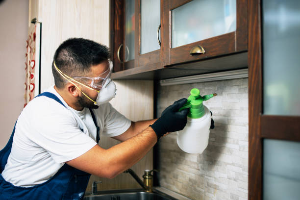 Best Mosquito Control Services  in Bessemer, AL
