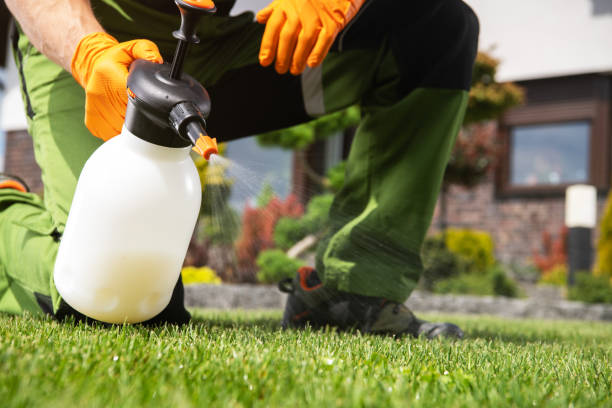 Best Pest Control Near Me in Bessemer, AL