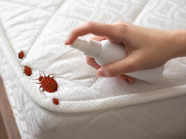 Best Pest Prevention Services  in Bessemer, AL