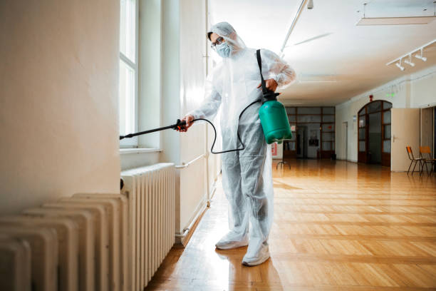 Best Local Pest Control Services  in Bessemer, AL