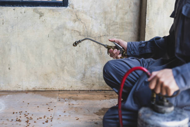 Best Pest Inspection Near Me  in Bessemer, AL
